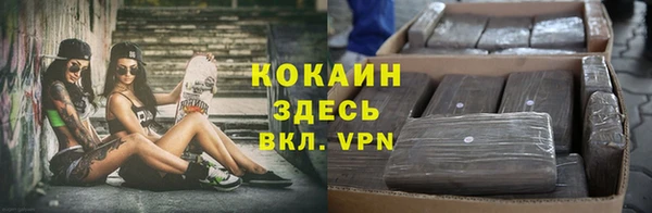 СК Алексин