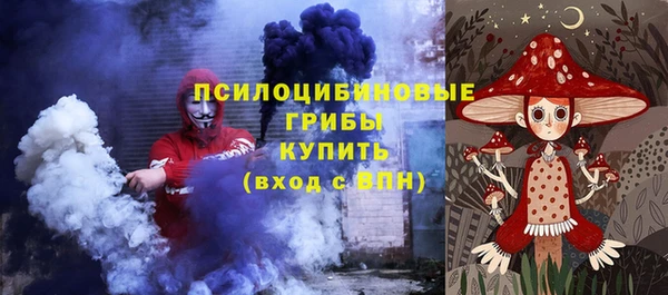 СК Алексин