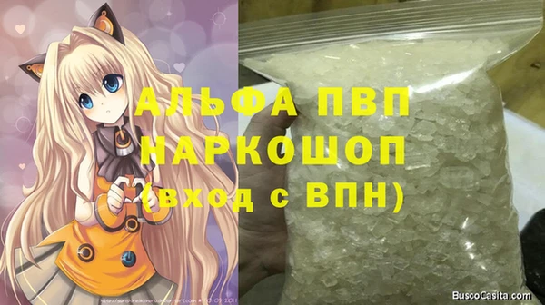 СК Алексин
