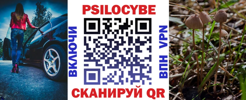 Галлюциногенные грибы GOLDEN TEACHER Карачаевск