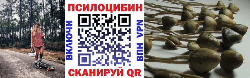 ссылка на мегу ONION  Карачаевск  Галлюциногенные грибы GOLDEN TEACHER 