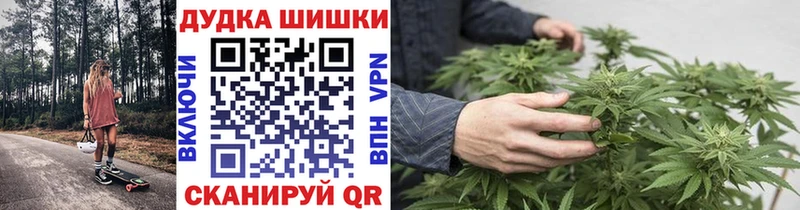 Бошки марихуана гибрид  наркотики  Карачаевск 